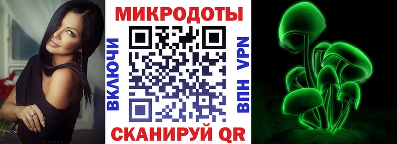 Псилоцибиновые грибы Psilocybine cubensis  Костерёво 